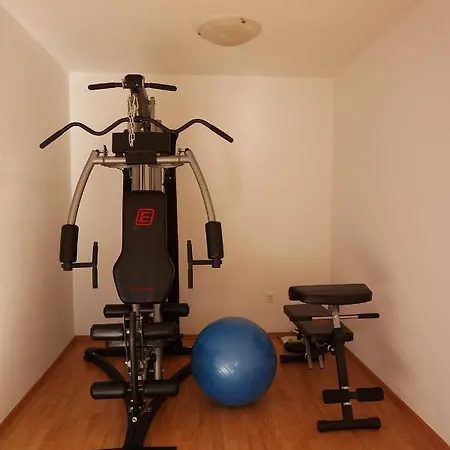 Vuk Apartment Pula